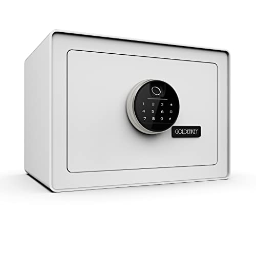 GOLDENKEY Digital Security Safe and Lock Box – Compact, Fingerprint Lock, Ideal for Home, Office