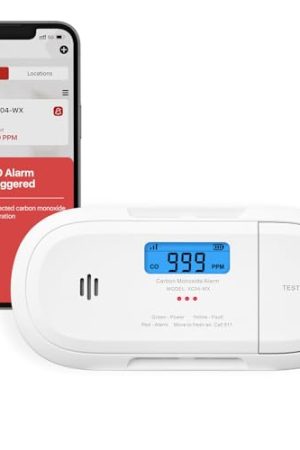 X-Sense Smart Carbon Monoxide Detector: Wi-Fi Connectivity, Real-Time Notifications, and Optional Professional Monitoring