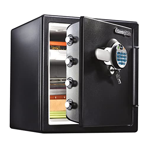 SentrySafe Fireproof and Waterproof Home Safe: Biometric Lock, 1.23 Cu Ft of Security