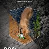 ieGeek's 2K Wireless Outdoor Cameras – AI Detection, Color Night Vision, and Waterproof Design - Image 4
