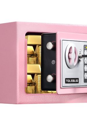 Pink Mini Fireproof Safe | Combination Lock for Home, Office, and Hotels