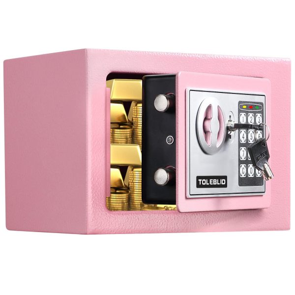 Pink Mini Fireproof Safe | Combination Lock for Home, Office, and Hotels